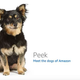 Image for article titled Amazon's Error Dogs, Ranked